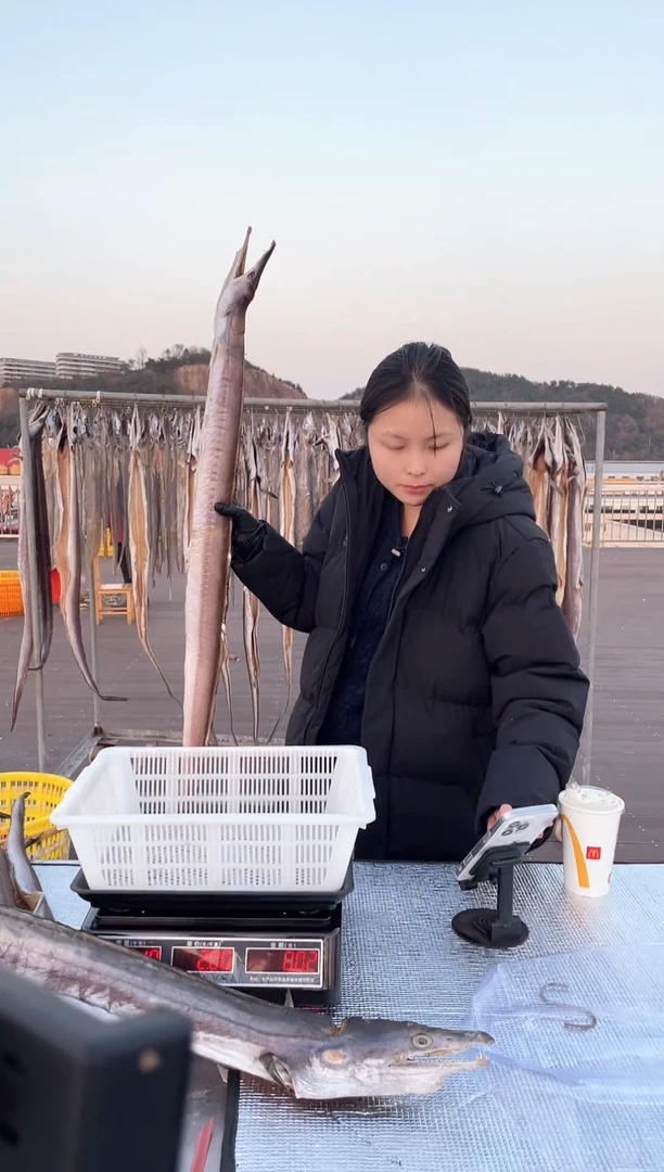 中国大陆4.4斤左右风鳗1条