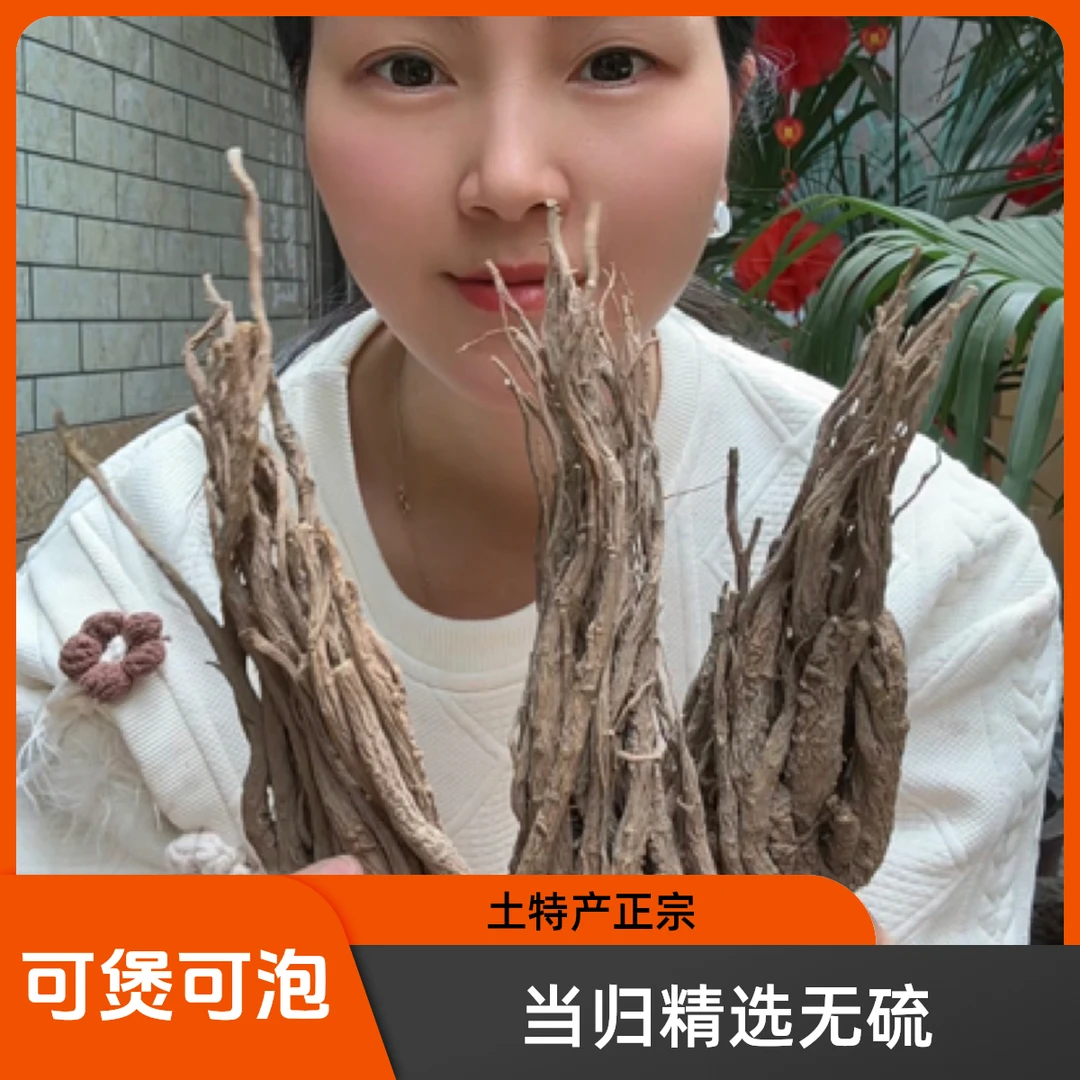 虎牙夫人甘肃土特产原生态黑当归无硫可煲汤可泡水喝正品精选