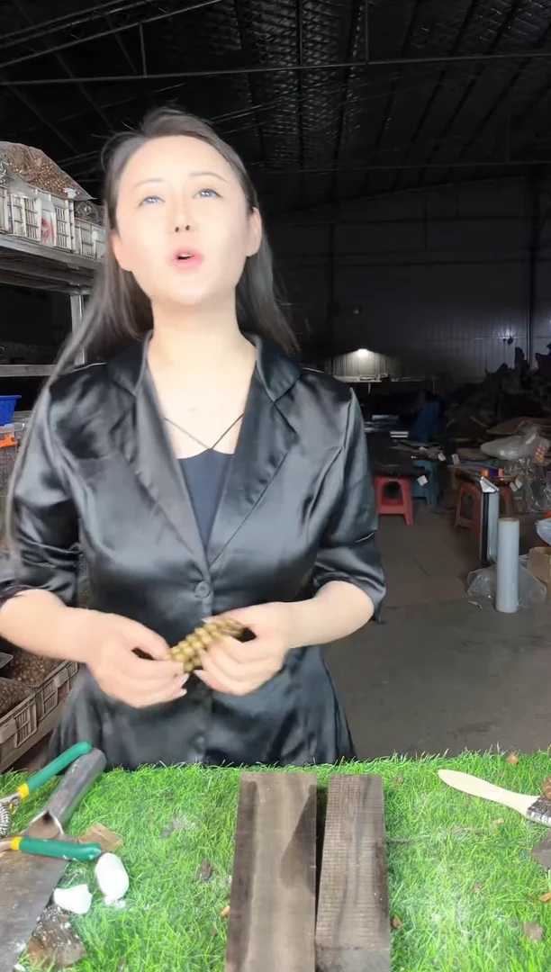 金丝楠金丝楠木小叶桢楠1.0阴沉