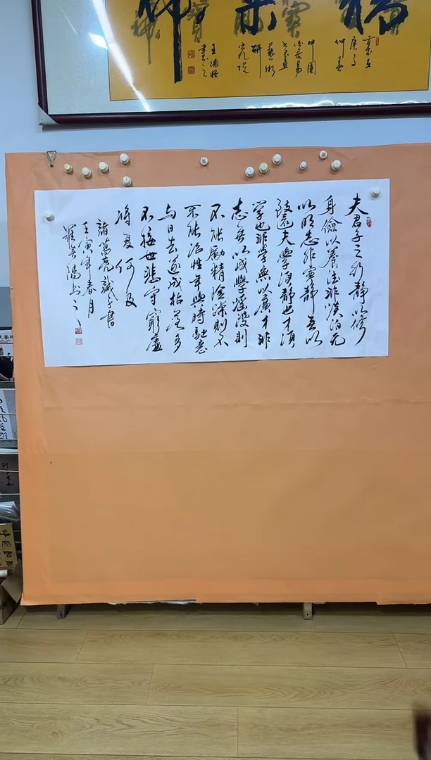 书法罗纯阳诫子书作品
