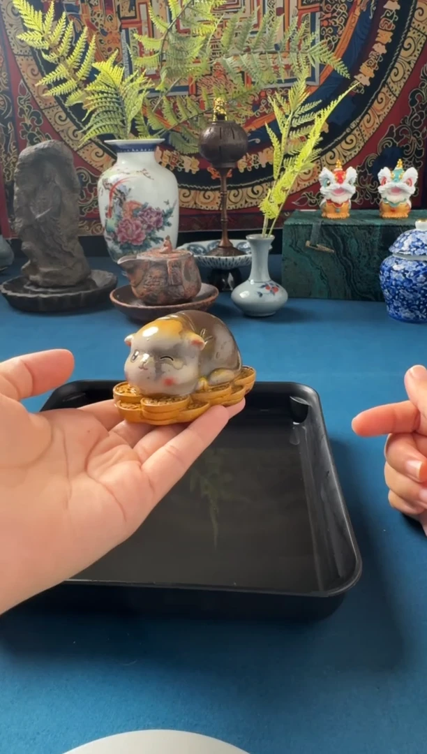 猫茶宠猫茶宠猫茶宠