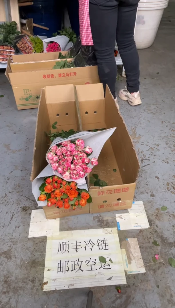 折射10枝+橙色芭比10枝