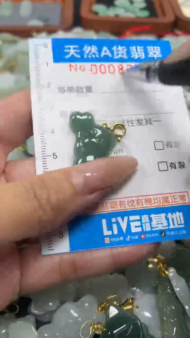 翡翠未镶嵌颈饰净货挂件-8372