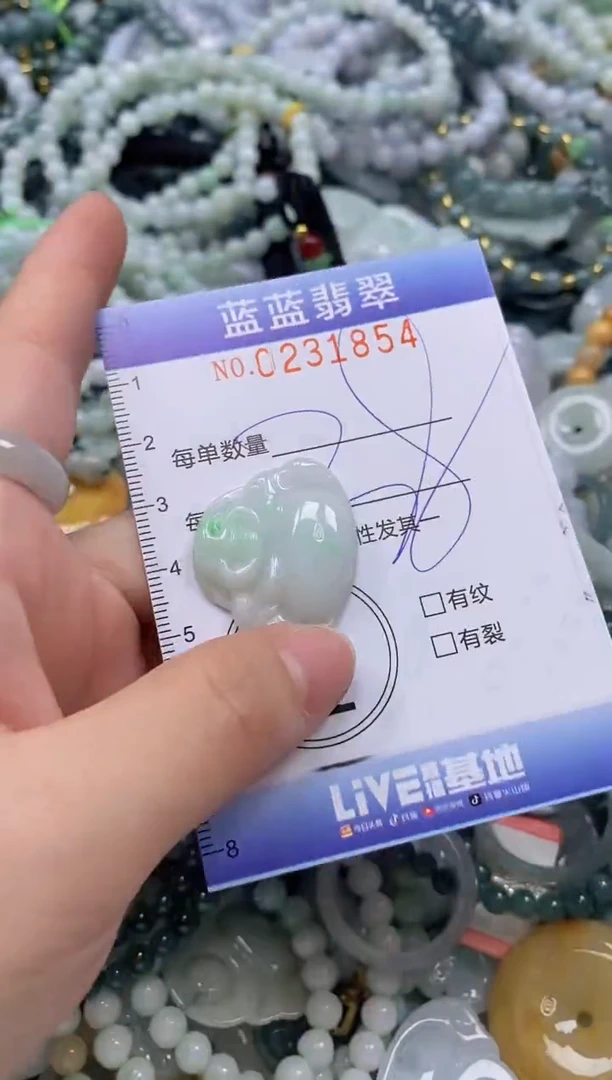 翡翠未镶嵌颈饰闪购0231854