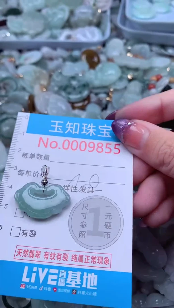 翡翠未镶嵌吊坠(不含链)9855