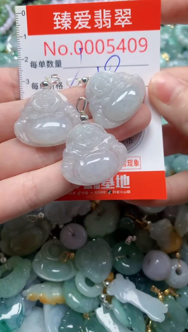 翡翠未镶嵌吊坠(不含链)5409多样性发其一
