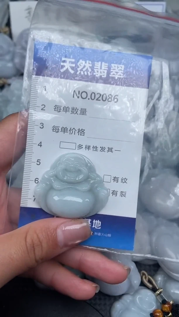 颈饰未镶嵌翡翠纯天然A货翡翠2086