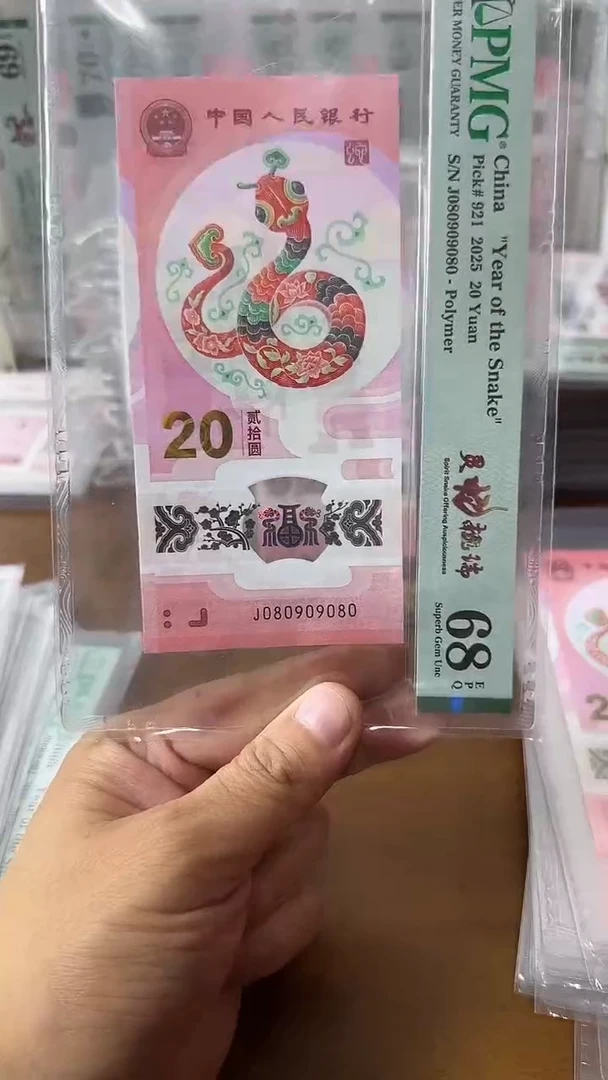 塑料080909080-蛇钞单张