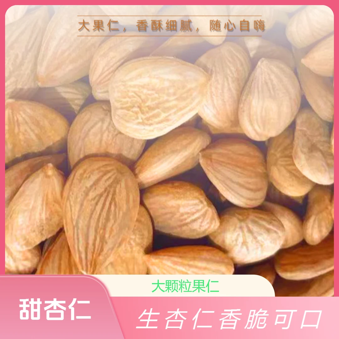 生杏仁甜杏仁大颗粒