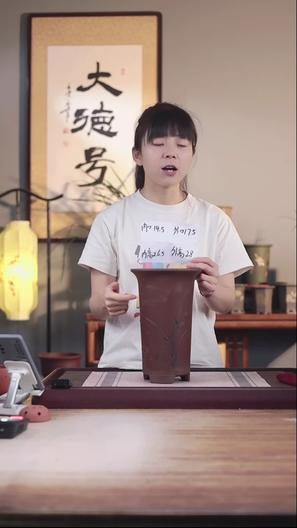紫砂花盆新款紫泥高画线一只带托盘