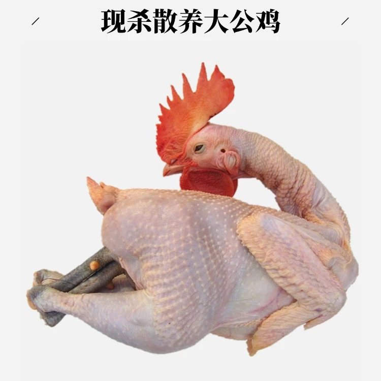 【饭店专用】生鸡 黑腿小公鸡 当天现杀（带心肝胗） 顺丰包邮 剁好
