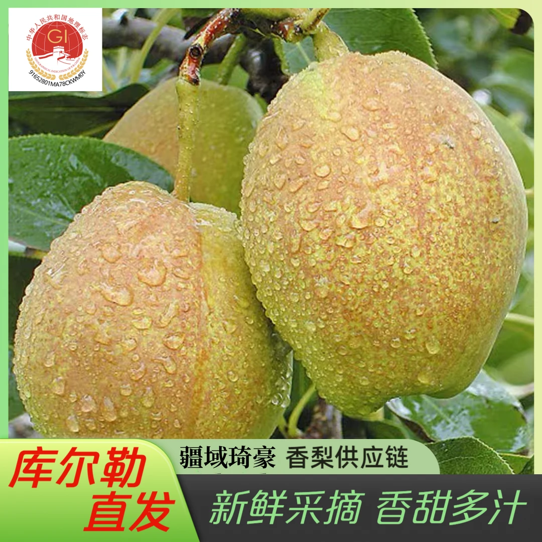 【产地直发】带箱6斤新疆库尔勒香梨新鲜应季水果梨香梨/库尔勒香梨