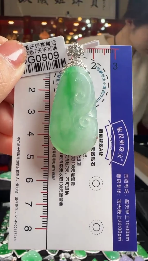 【闪购商品】翡翠颈饰18K金镶嵌DG0909冰绿如意