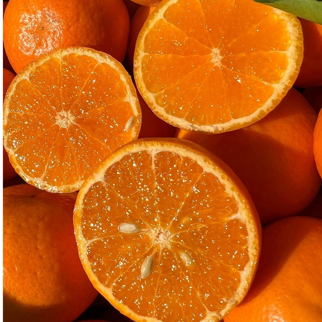 正宗贵州牂牁江茂谷柑水果当季皮薄汁多果大包邮