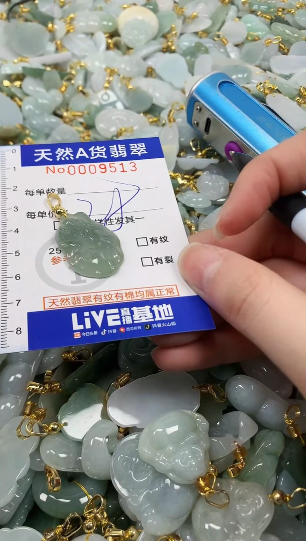 颈饰未镶嵌翡翠纯天然a货翡翠