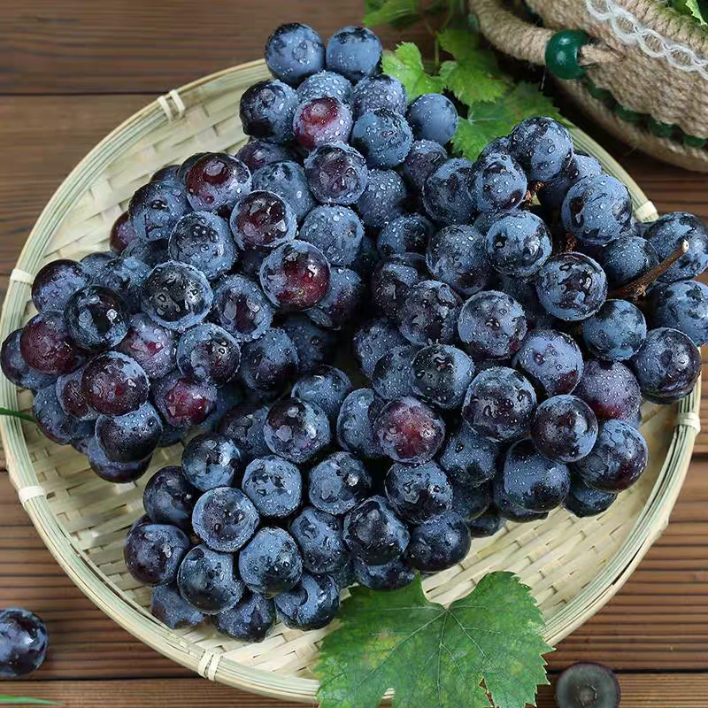 蓝莓葡萄（29.9元一公斤）现称改价勿盲拍云南省