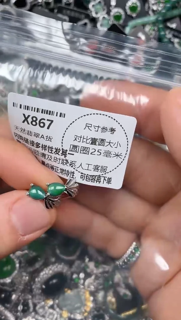 颈饰未镶嵌翡翠X867耳扣