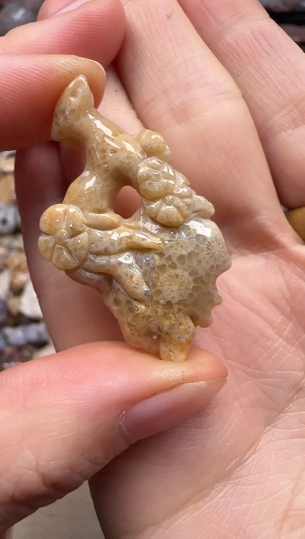 【闪购商品】硅化珊瑚（珊瑚玉）颈饰未镶嵌164