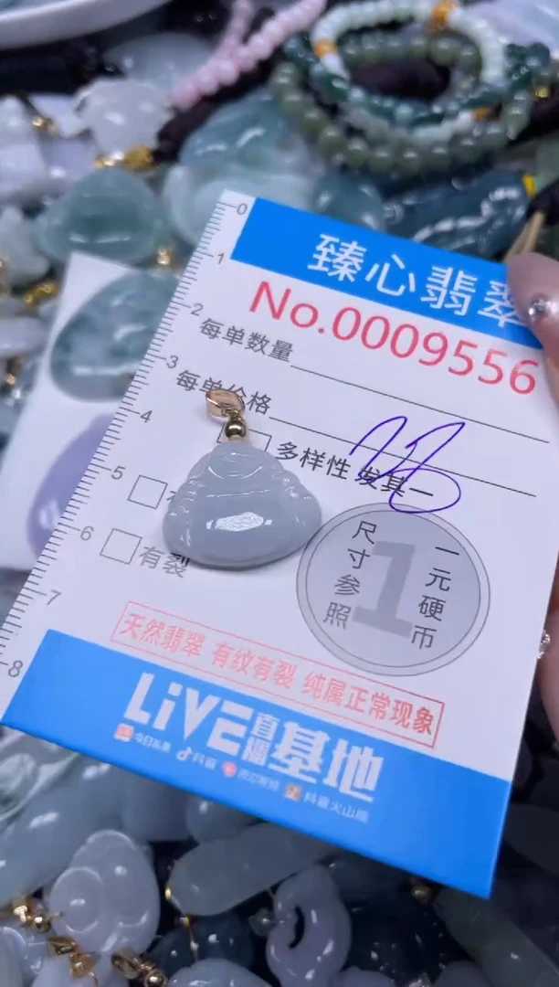 颈饰未镶嵌翡翠9556