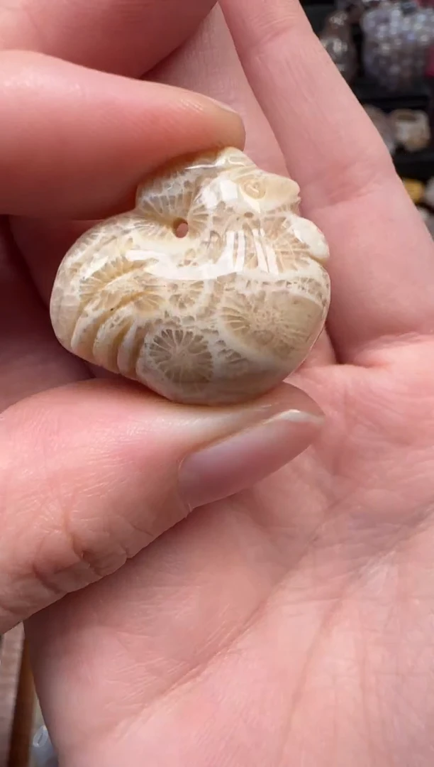 颈饰未镶嵌硅化珊瑚（珊瑚玉）223