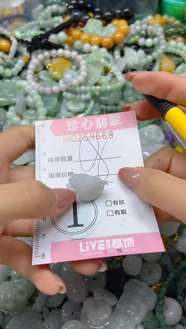 翡翠未镶嵌颈饰闪购0259669
