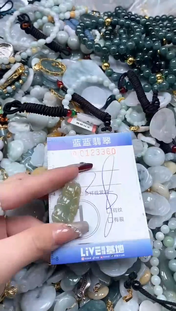 【闪购商品】翡翠颈饰未镶嵌闪购0123360