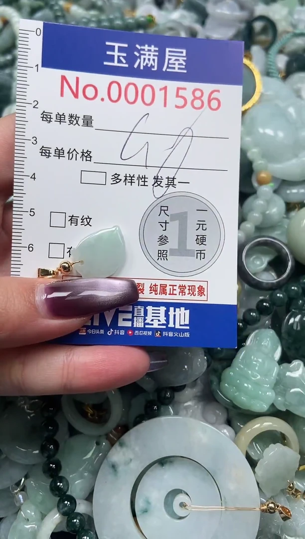 颈饰未镶嵌翡翠1586