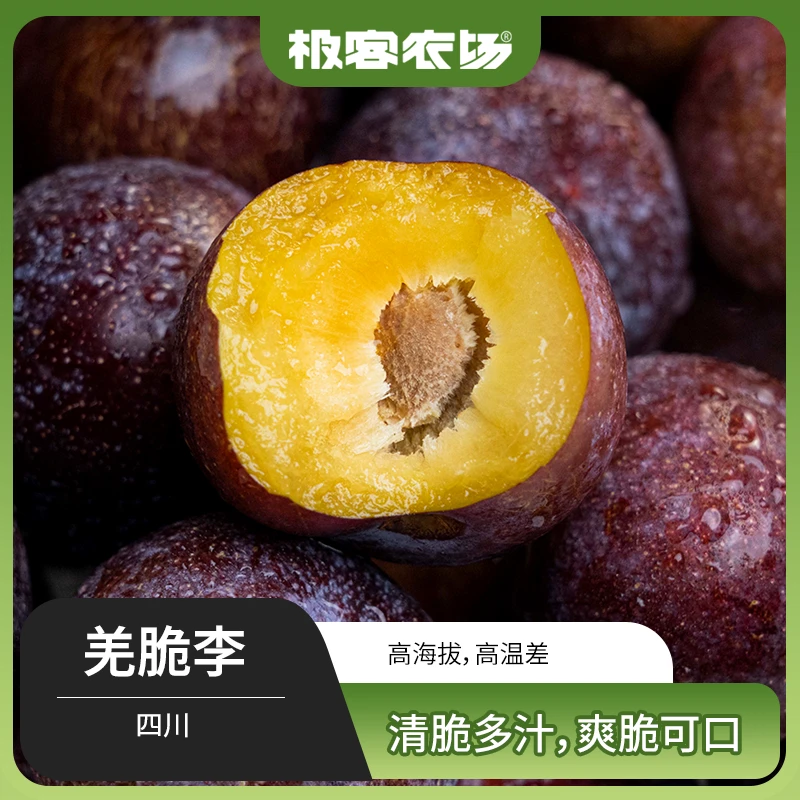 极客脆李| 羌脆李果肉脆爽甜中带酸风味足冷藏再吃黑珍珠3斤京东