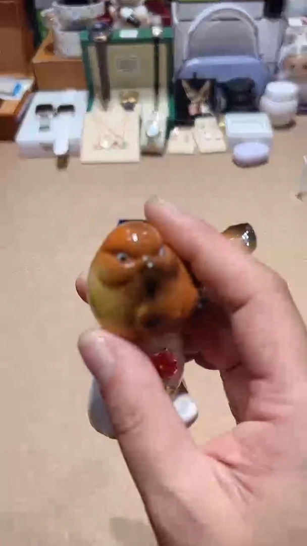 瓷片生活的本意就是开心@@1