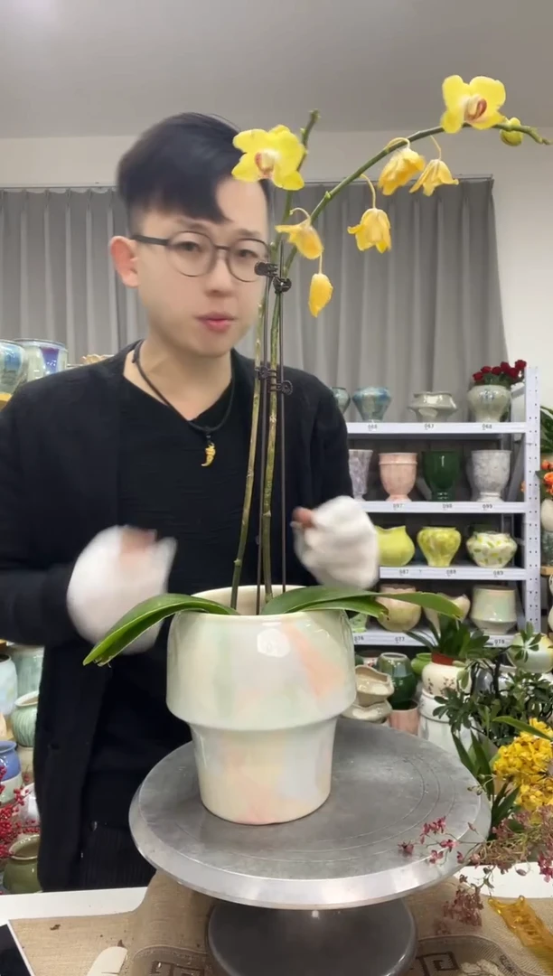 12.25陶瓷花盆直播链接高. 17     口12