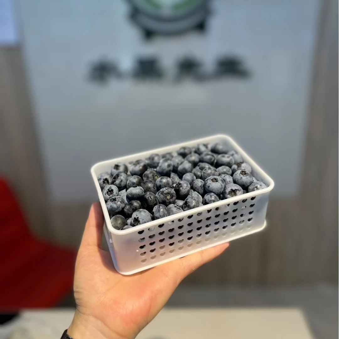 蓝莓一盒云南省