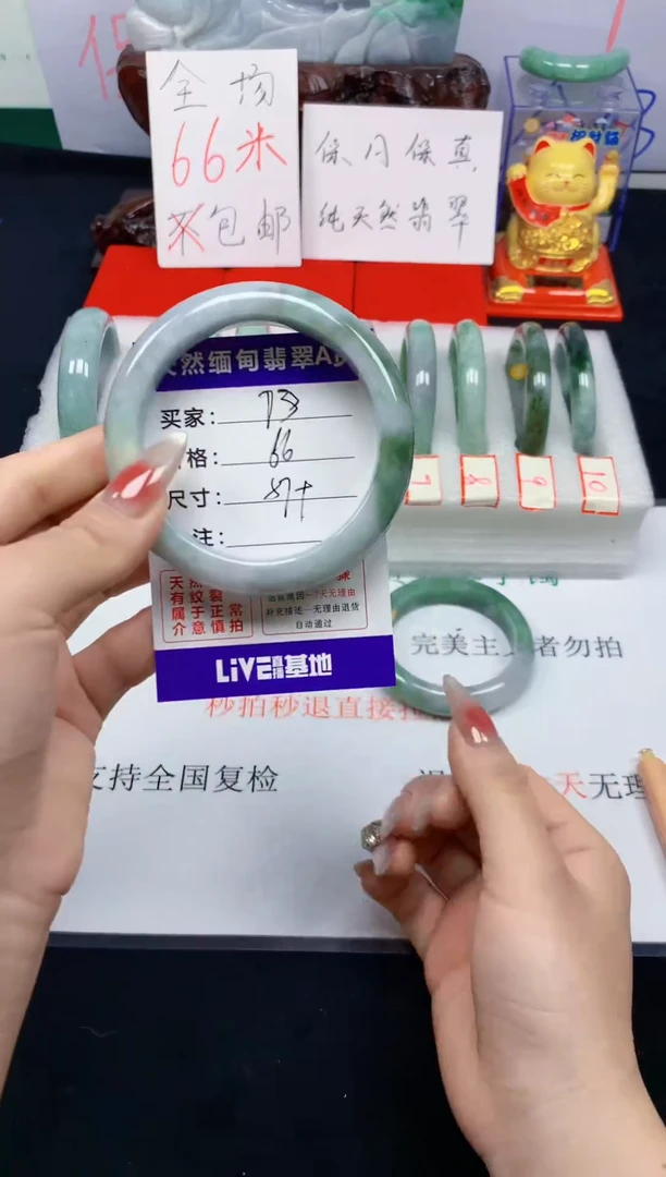未镶嵌手镯翡翠73
