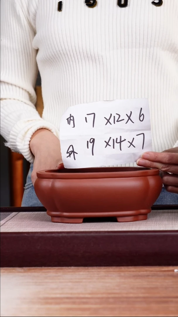 紫砂花盆海棠一只无托
