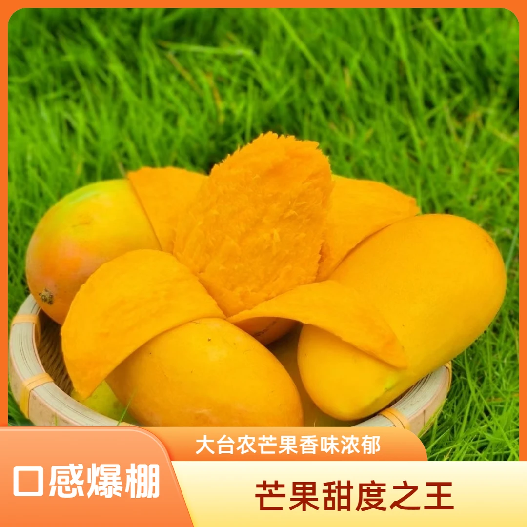 BaiseMango/百色芒果精选特级大台农芒香味浓郁新鲜采摘热带芒果