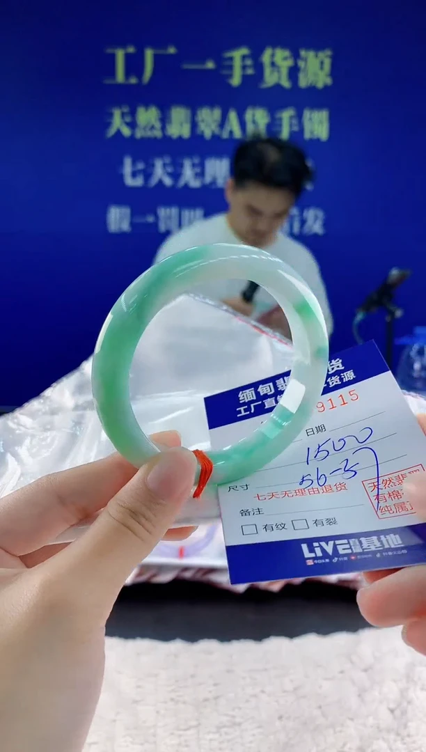 未镶嵌手镯翡翠15
