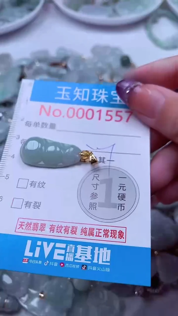 翡翠未镶嵌吊坠(不含链)1557
