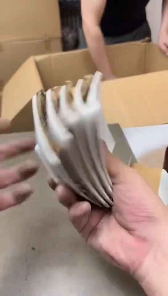 瓷片1431聚宝缘优品严选