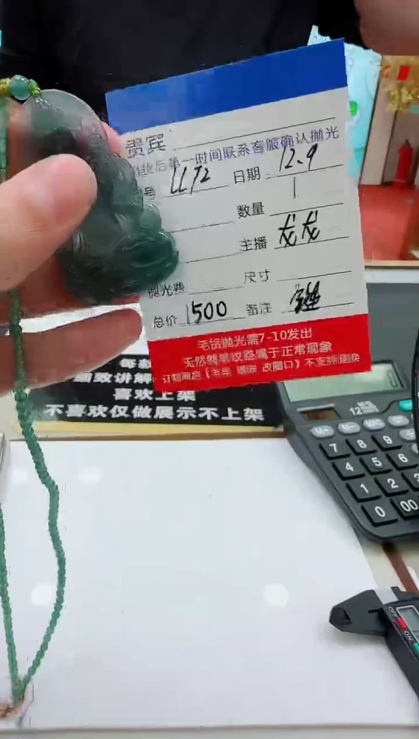 未镶嵌定制翡翠LL72翡翠吊坠赠珠链-多样性发其一
