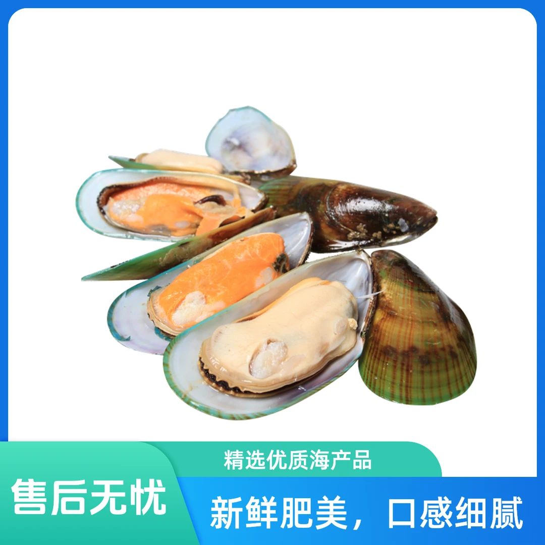 青口贝500g