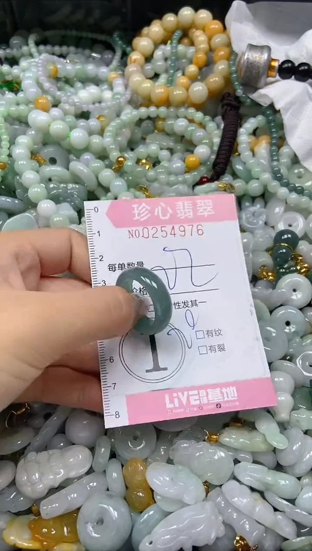 翡翠未镶嵌颈饰闪购0254976