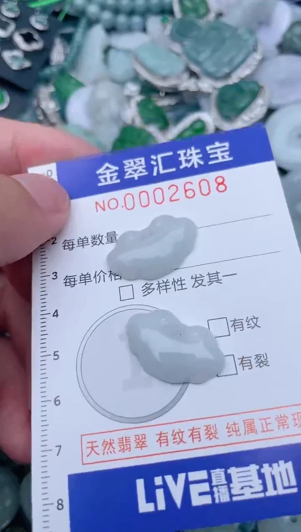 翡翠未镶嵌颈饰2608...1