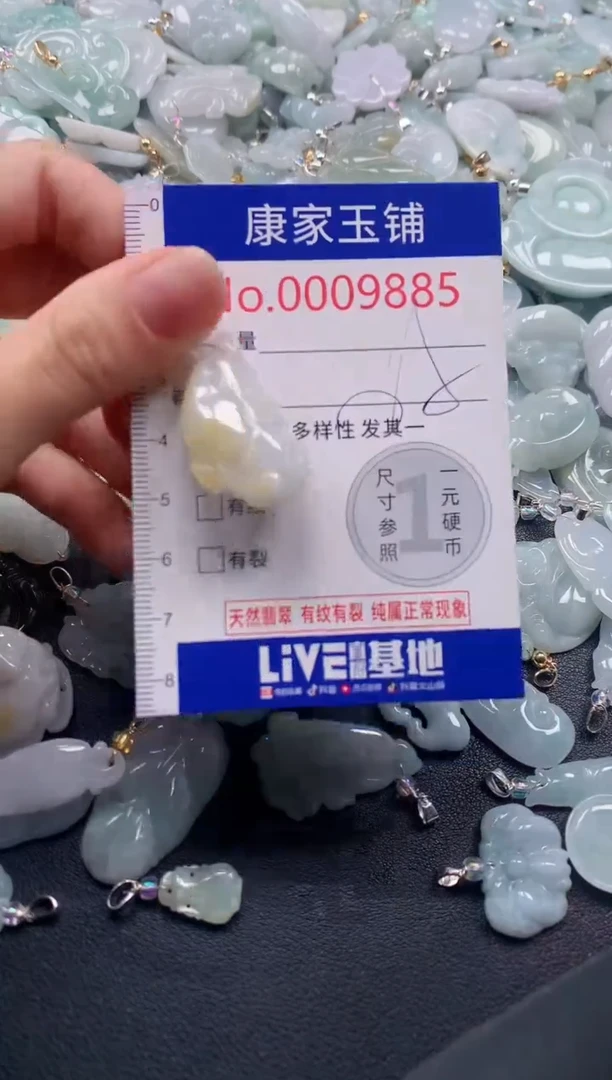 颈饰未镶嵌翡翠9885