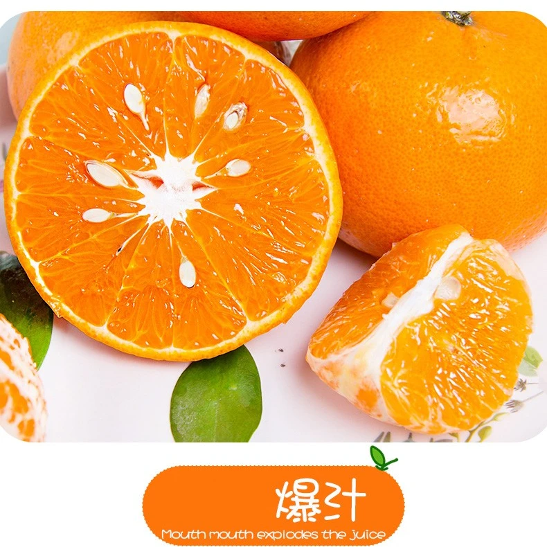 【散装】香妃柑-8斤-有籽-大同市平城云冈区可拍