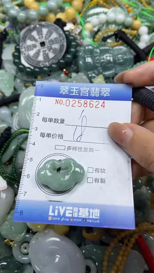 颈饰未镶嵌翡翠闪购C0258624