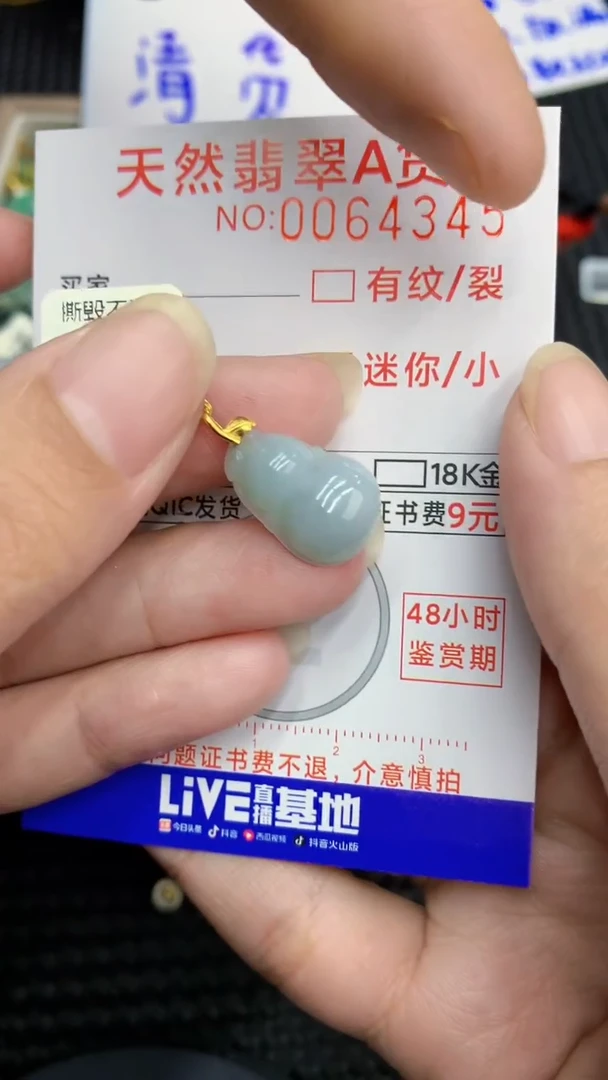 【闪购商品】翡翠颈饰18K金镶嵌            8