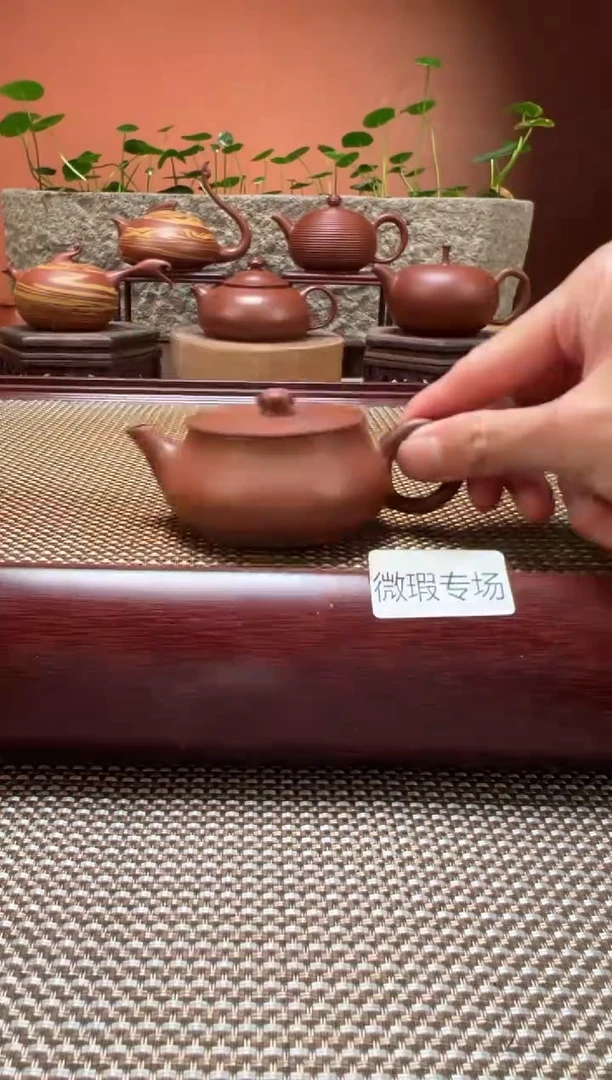 茶壶紫砂【微瑕】全手工超薄胎M102