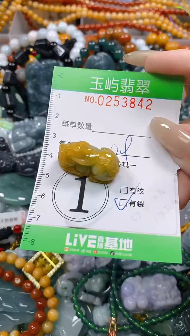 颈饰未镶嵌翡翠闪购0253842