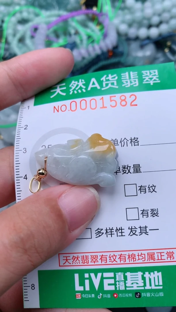 翡翠未镶嵌颈饰.0001582