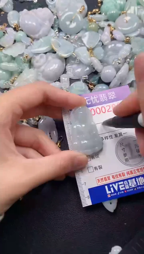 颈饰未镶嵌翡翠2889