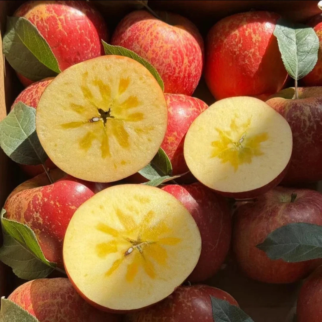 YG23【全国次日达】正宗云南丽江宁蒗高山丑苹果脆甜多汁新鲜脆甜产地直发云南省云南省